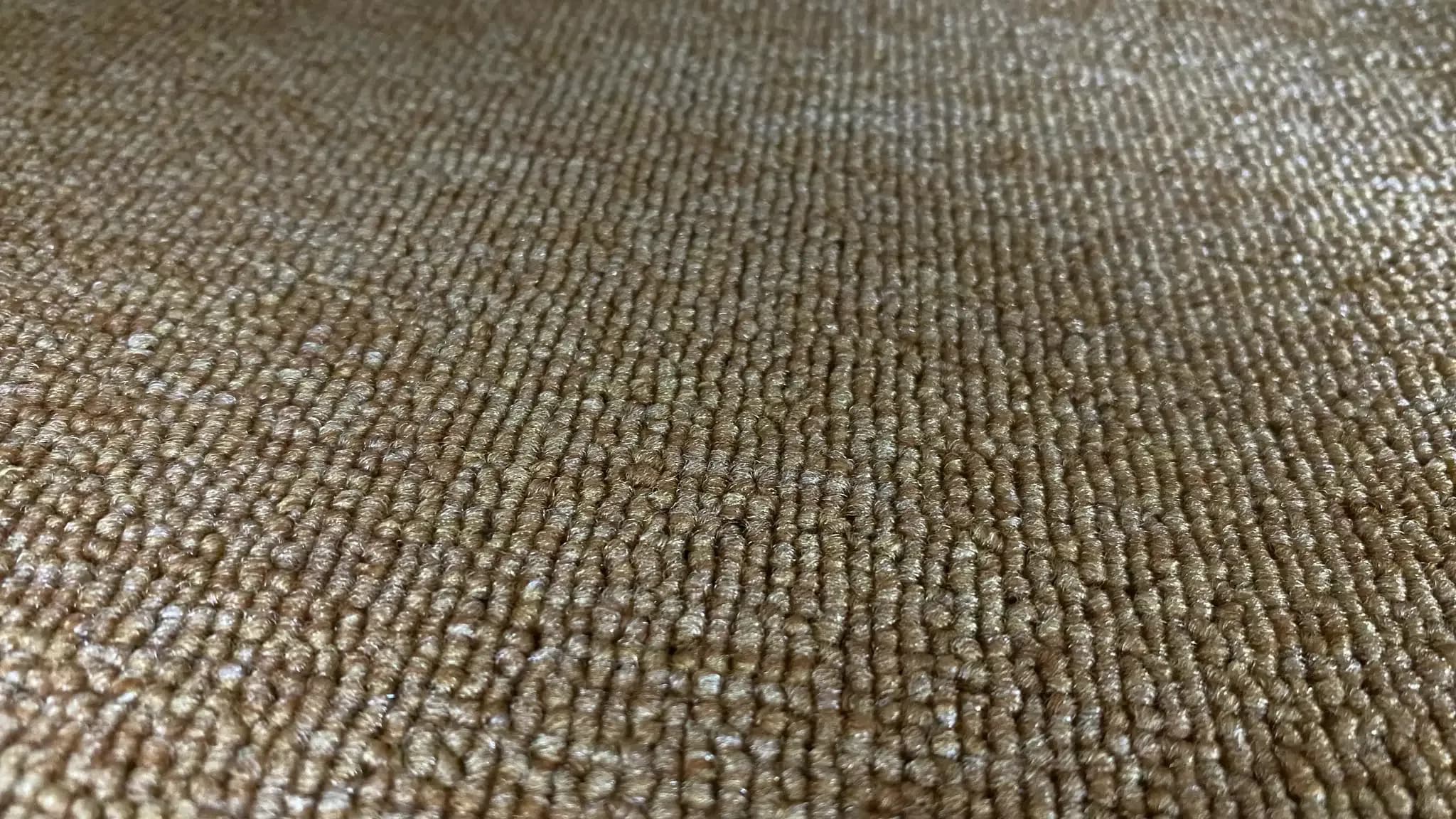 Nylon Carpets Mansfield